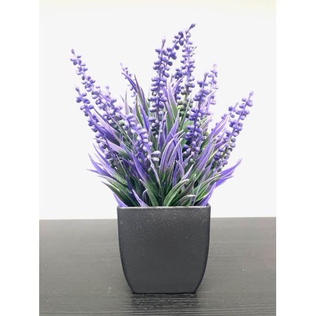 Kunsttaim Lavendel potis