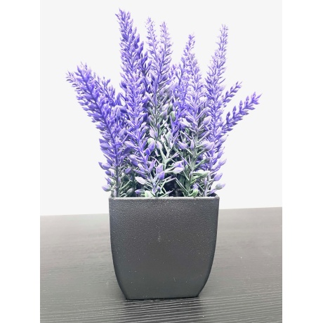 Kunsttaim Lavendel potis
