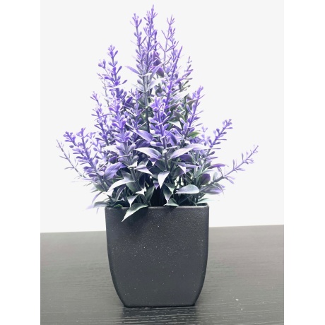 Kunsttaim Lavendel potis